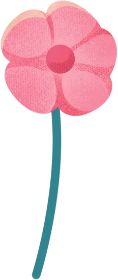 Pink Flower - cartoon - line - No Watermark PNG