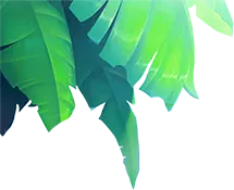 Green Leaves - Trending PNG - Fast Download PNG