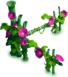 Vine with Flowers - plant - PNG