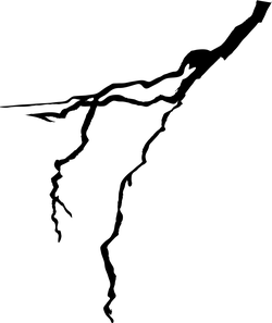 Free PNG - nocturnal animal - Black Owl