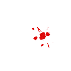 Red Flower - beautiful - High Resolution PNG