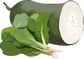 Cucumber - healthy - Free for Commercial Use PNG