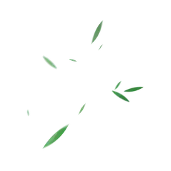 Green Light Spots - Transparent Layer PNG