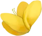 Yellow Butterfly - nature - colorful - Transparent Background PNG
