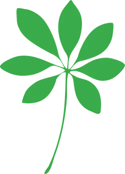 Clover - High Quality PNG - ecology