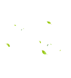 Falling Leaves - falling - Transparent Layer PNG