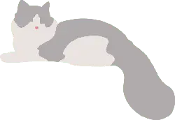 Cat - gray - animal - High Resolution PNG