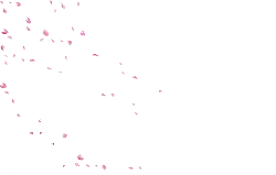 Pink Petals Falling - spring - beautiful - Transparent Layer PNG