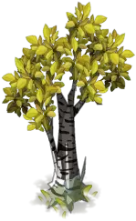 Yellow-leaved Tree - art - No Background PNG
