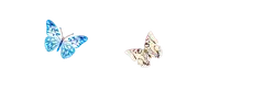 Butterfly - beautiful - Designer Recommended PNG