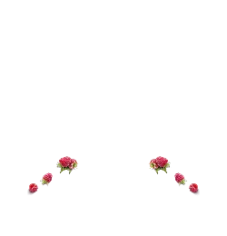 Raspberry - nature - Free Download PNG