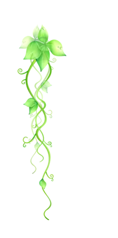 Vine Plant - growth - High Quality PNG