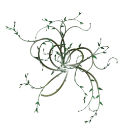 Vine Plant - nature - green - High Resolution PNG
