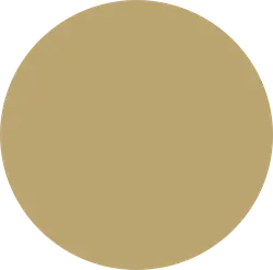 Brown Circle - simple design - No Watermark PNG