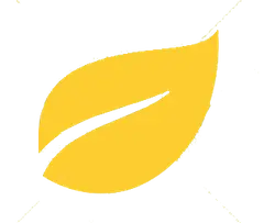 Leaf - Free for Commercial Use PNG - environmental protection