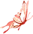 Butterfly - beautiful - No Background PNG