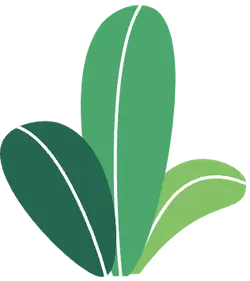 Three Leaves of Green - nature - PNG
