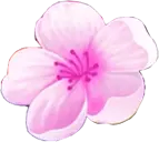 Cherry Blossom - No Background PNG - Recommended PNG