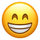 Smiling Face - smile - happiness - Free Download PNG