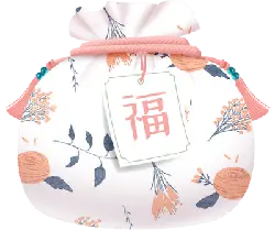 Fortune Bag - No Watermark PNG