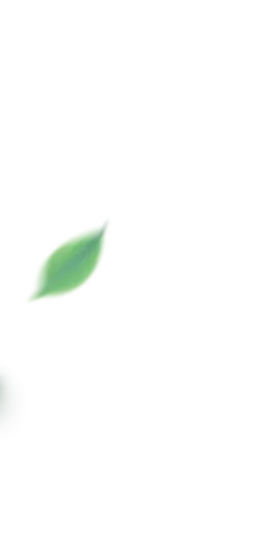 Leaf - shape - Free Download PNG