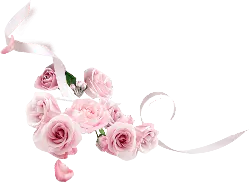 Pink Rose Bouquet - ribbon - flower - Lossless PNG