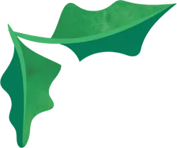 Holly Leaf - holiday - Transparent Background PNG
