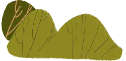 Leaf - green - Transparent Layer PNG