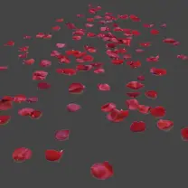 Rose Petals - love - Trending PNG