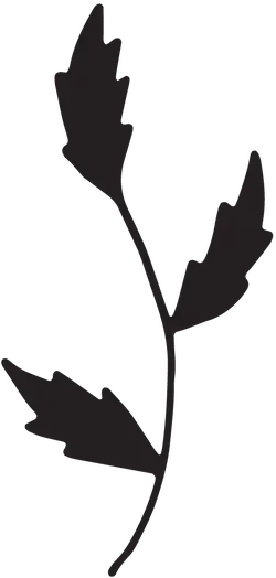 Leaf Silhouette - nature - High Resolution PNG