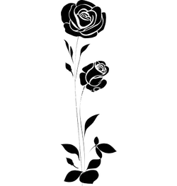 White Rose - rose - line art - Transparent Layer PNG
