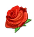 Rose - PNG - love