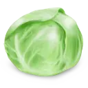 Cabbage - nutritious - Curated PNG