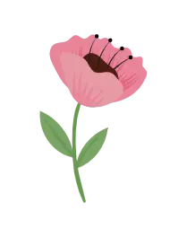 Pink Flower - High Download Count PNG - plant
