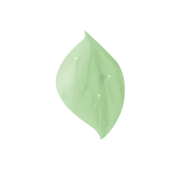 Green Leaf - leaf - Free Download PNG