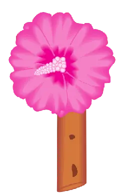 Pink Flower - PNG - beautiful