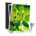 Green Leaves - Fast Download PNG - fresh