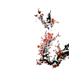 Plum Blossom - Highly Rated PNG - winter