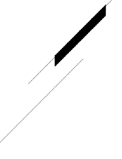 Black Cat - night animal - cat - No Background PNG