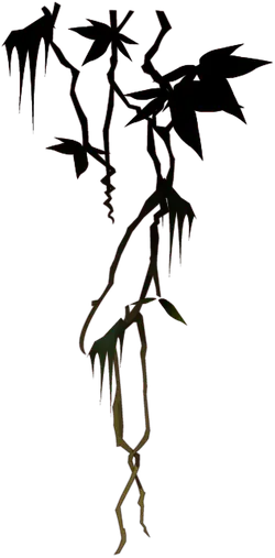 Vine Plant - green - growth - High Resolution PNG