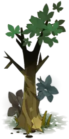 Tree - nature - flowers - High Resolution PNG