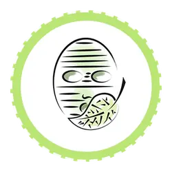 Green Circle Bug - insect - PNG