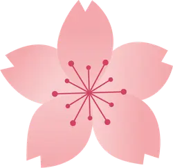 Cherry Blossom - Transparent Background PNG - Recommended PNG