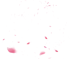 Pink Petals Falling - romantic - Curated PNG