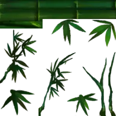 Bamboo - stem - green - High Resolution PNG