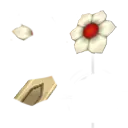 Flower - red - flower - High Resolution PNG