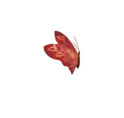 Red Butterfly - Transparent Background PNG