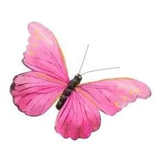 Pink Butterfly - nature - PNG