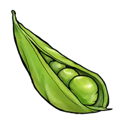 Pea Pod - green - Popular Download PNG