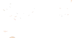 Cherry Blossom Tree - High Resolution PNG - flowers